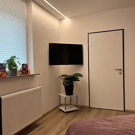 Rudolfquartier Linz, Rudolfstrasse