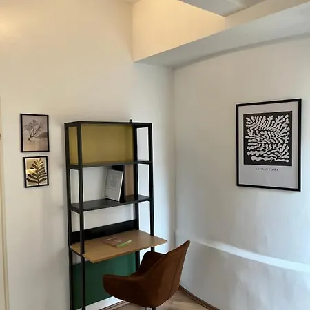 Rudolfquartier Linz, Rudolfstrasse لينتز
